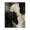 Stupell Industries Dual Spirit Horses Canvas, design by Svetlana Aleynikova